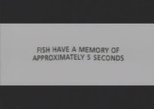 TV Advertisement Screenshot
